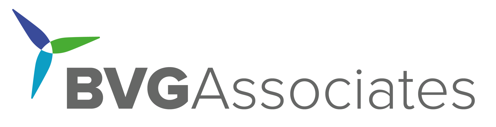 BVG Associates