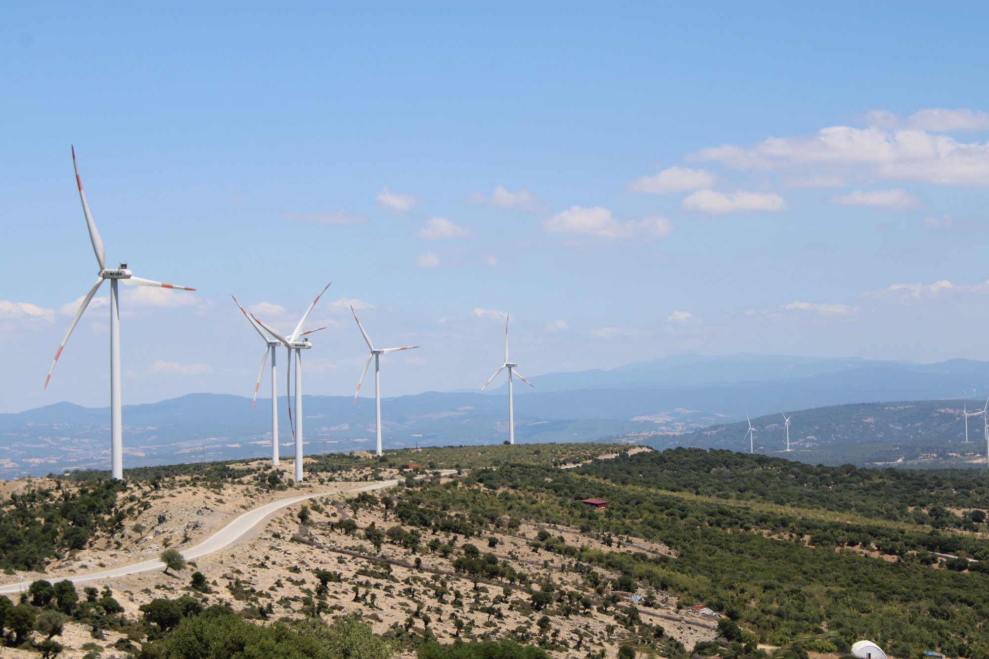 pexels-dila-soguktas-2154738229-33528018 pexels-dila-soguktas-2154738229-33528018
