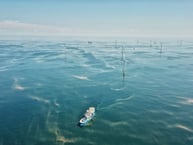 A Global Wind Energy Industry Perspective on Integrating Non-Price Criteria into Auction Frameworks