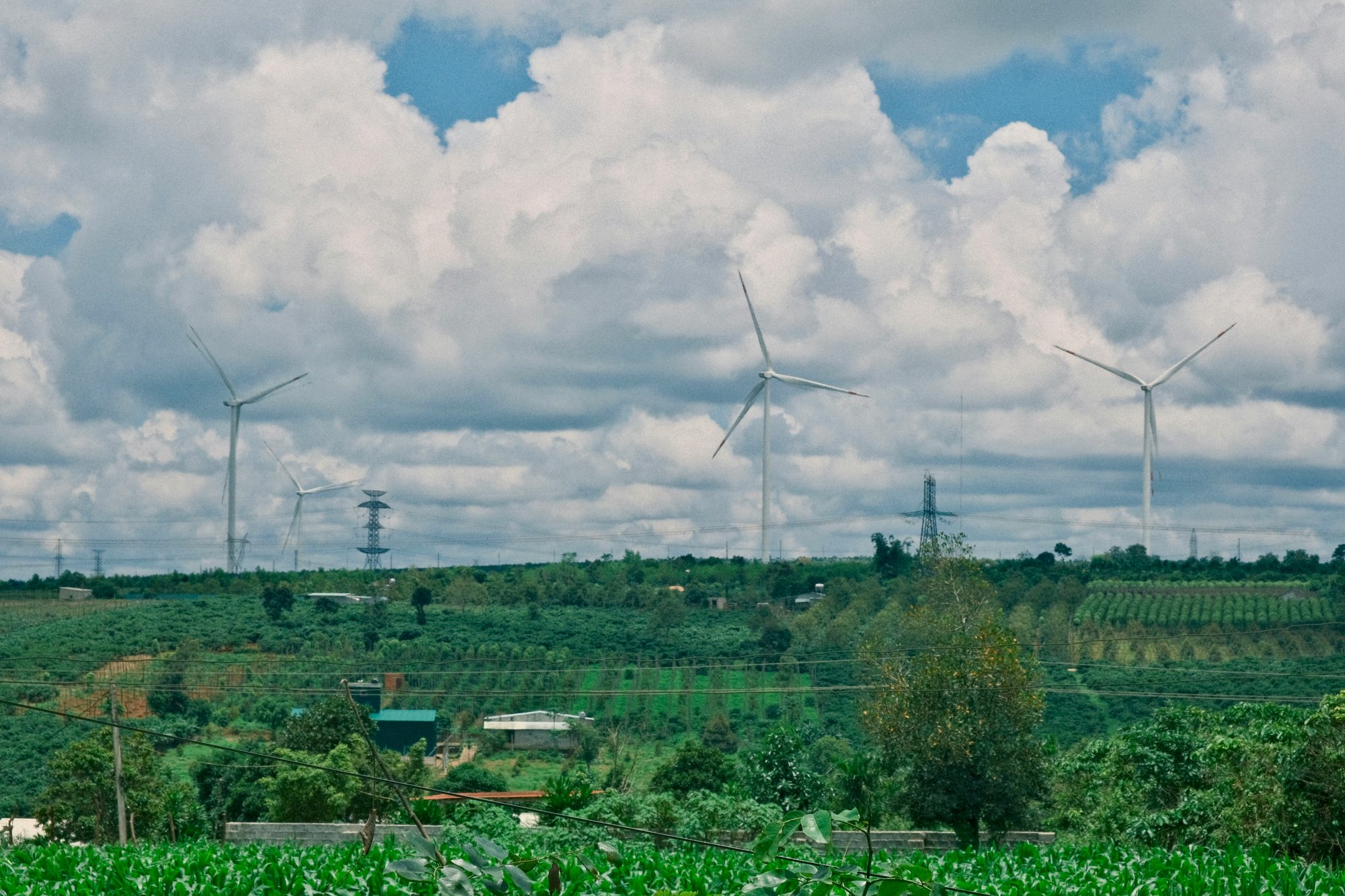 dao-vi-t-hoang-UZVCEb4mVeE-unsplash dao-vi-t-hoang-UZVCEb4mVeE-unsplash